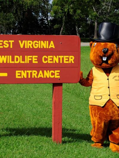West Virginia State Wildlife Center - French Creek, WV