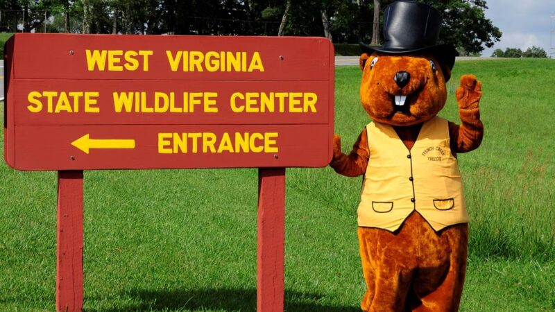 West Virginia State Wildlife Center - French Creek, WV