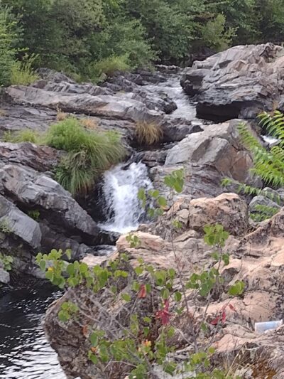 French Gulch County Park - French Gulch, CA