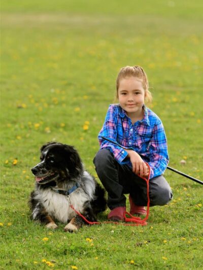 Karosel Kennels - Frenchtown, MT