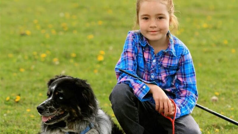 Karosel Kennels - Frenchtown, MT