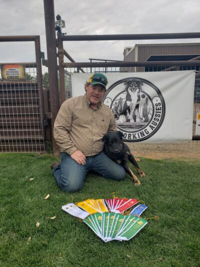 Karosel Kennels - Frenchtown, MT