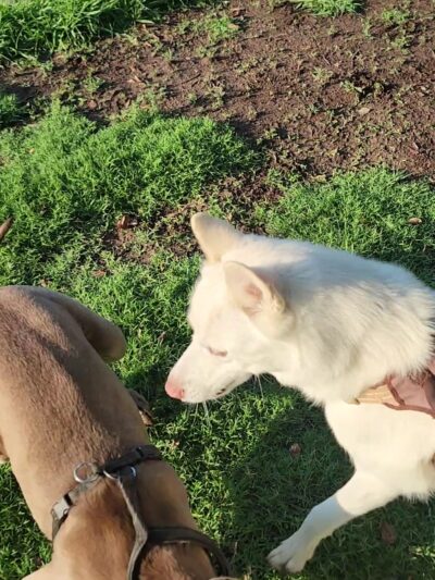 Basin F. Park - Fresno, CA
