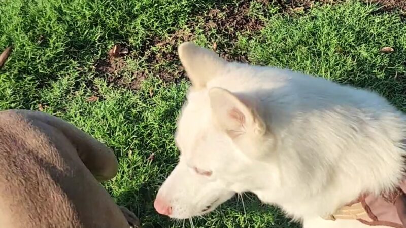 Basin F. Park - Fresno, CA