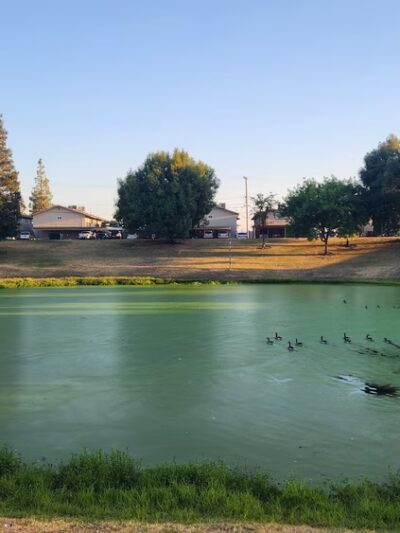 Basin V Park - Fresno, CA