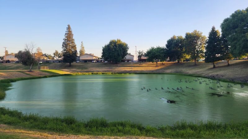 Basin V Park - Fresno, CA