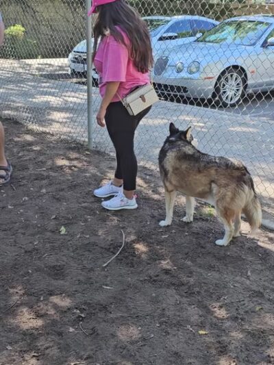 Bob Belcher Park - Fresno, CA