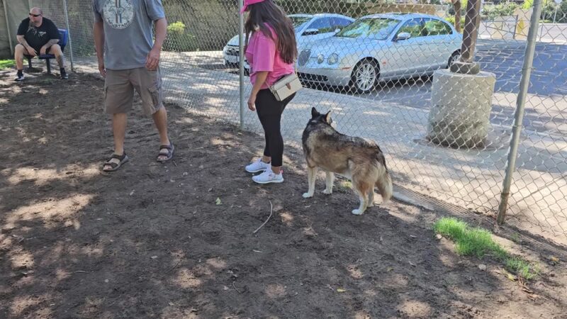Bob Belcher Park - Fresno, CA
