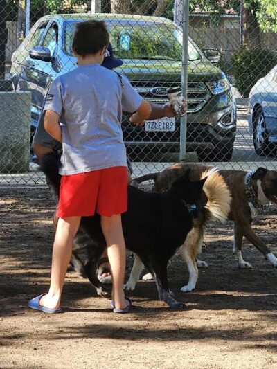 Bob Belcher Park - Fresno, CA