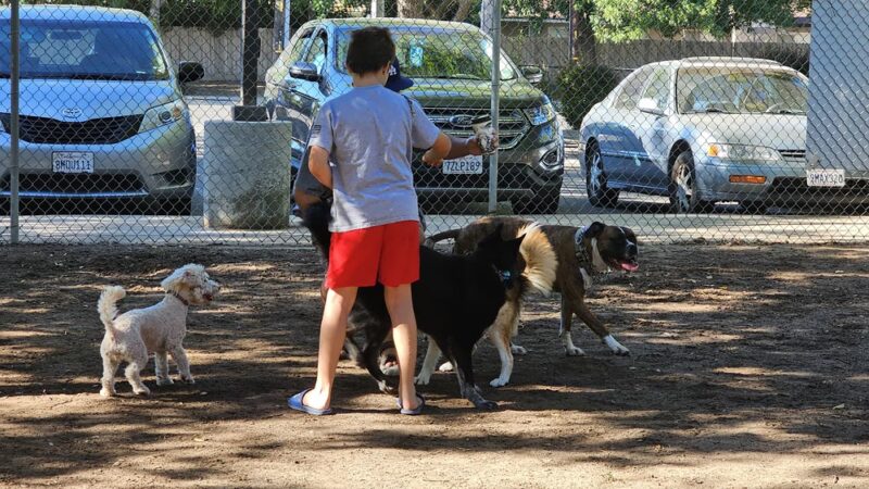 Bob Belcher Park - Fresno, CA