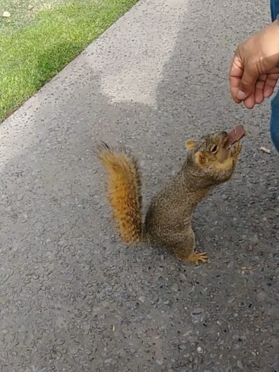 Courthouse Park - Fresno, CA