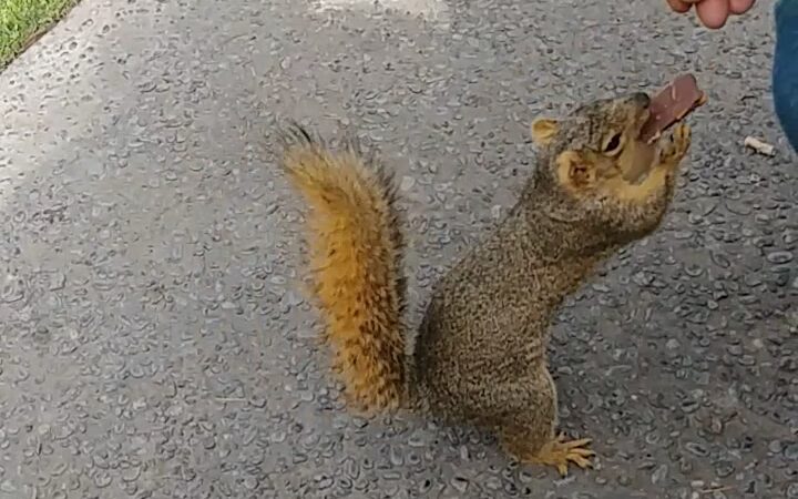 Courthouse Park - Fresno, CA