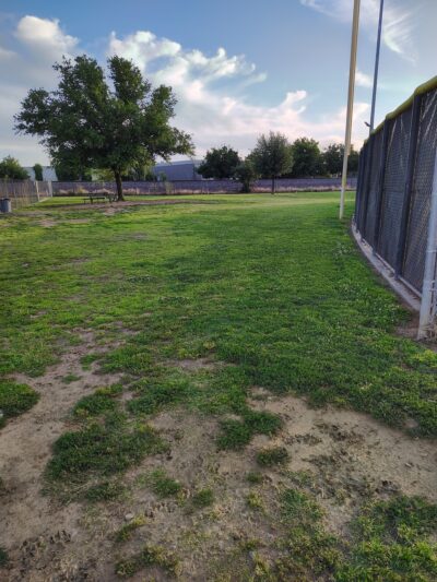 Figarden Dog Park - Fresno, CA