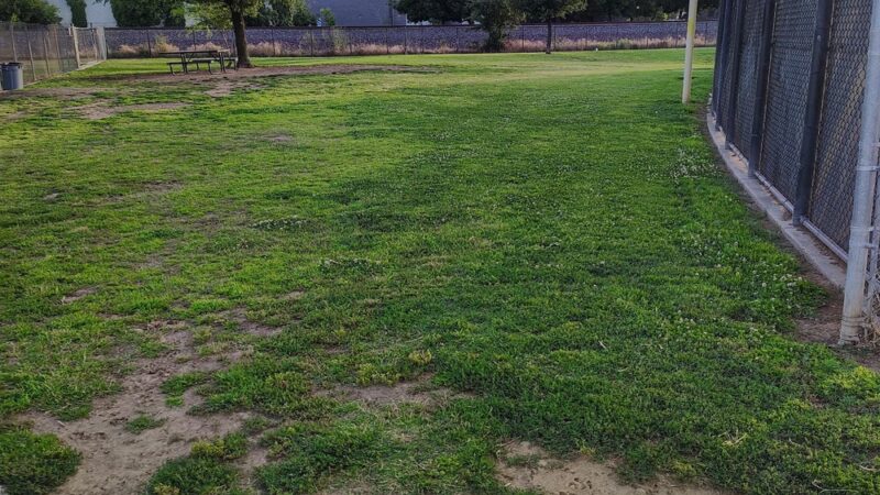 Figarden Dog Park - Fresno, CA