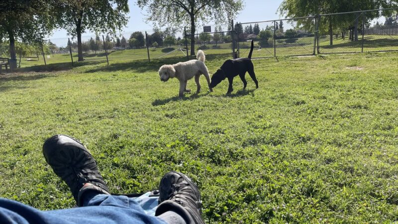 Figarden Dog Park - Fresno, CA