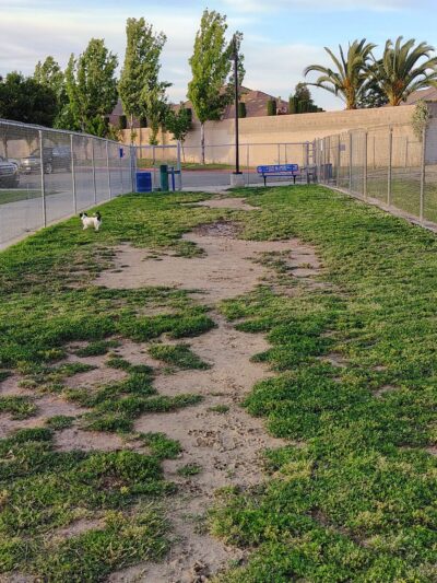 Figarden Dog Park - Fresno, CA
