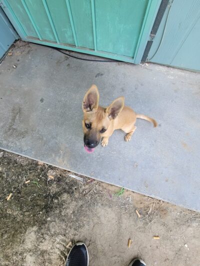 Fresno Park - Fresno, CA