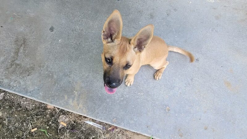 Fresno Park - Fresno, CA