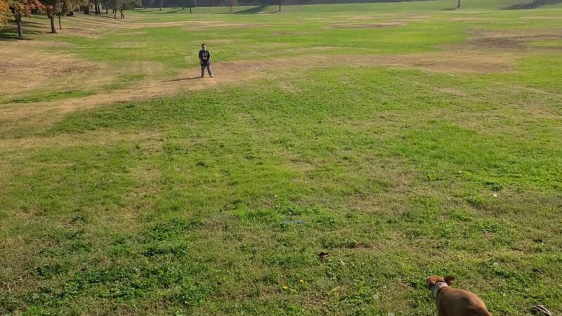 Frick Park - Fresno, CA