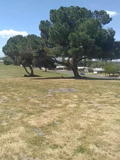 Hyde Park - Fresno, CA