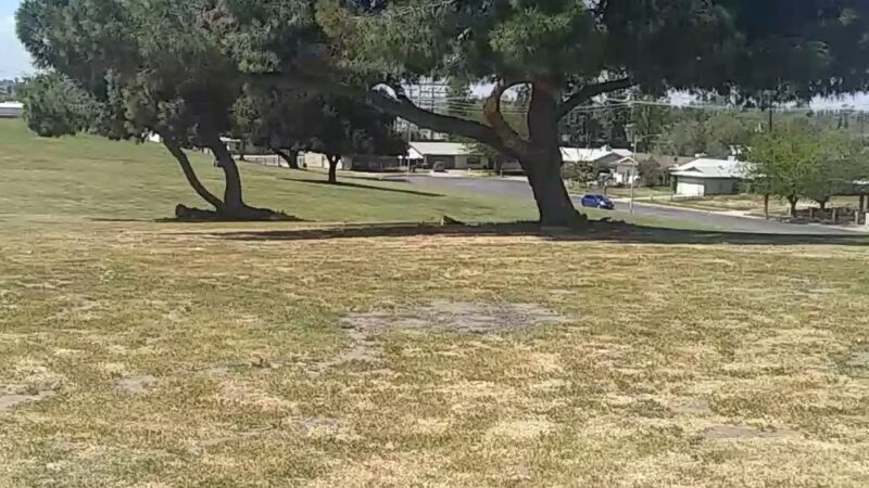 Hyde Park - Fresno, CA