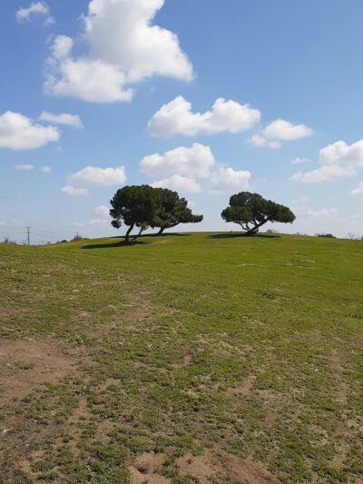 Hyde Park - Fresno, CA