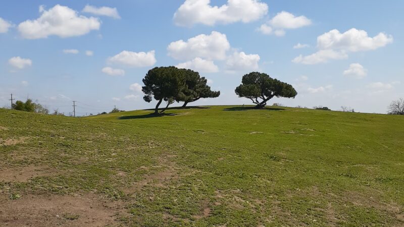 Hyde Park - Fresno, CA