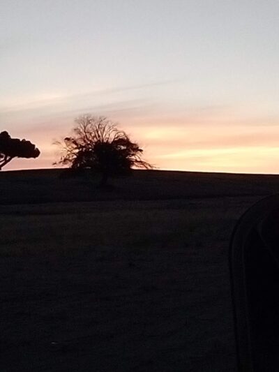 Hyde Park - Fresno, CA