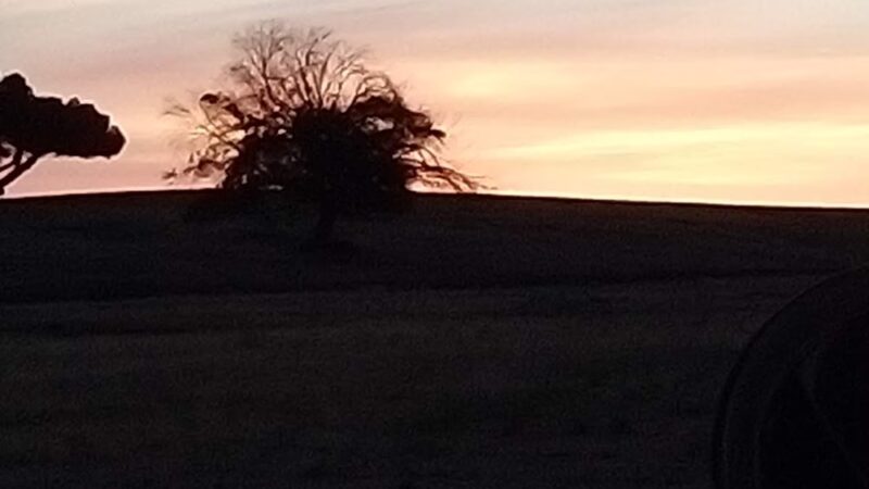 Hyde Park - Fresno, CA