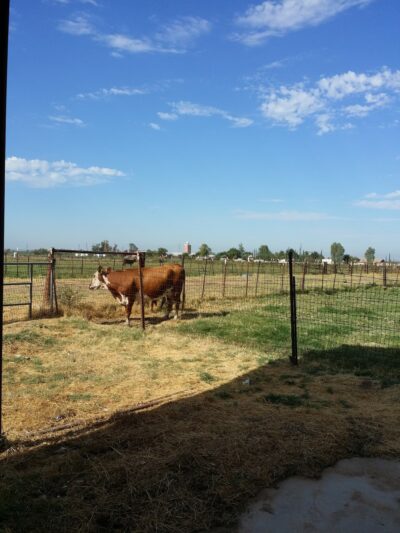 Hyde Park - Fresno, CA