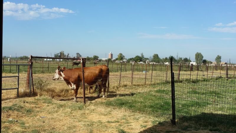 Hyde Park - Fresno, CA