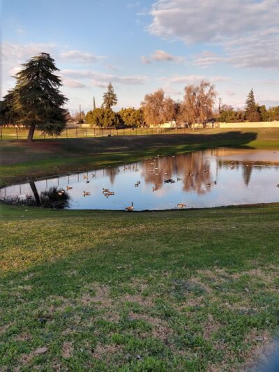 Manchester Park - Fresno, CA