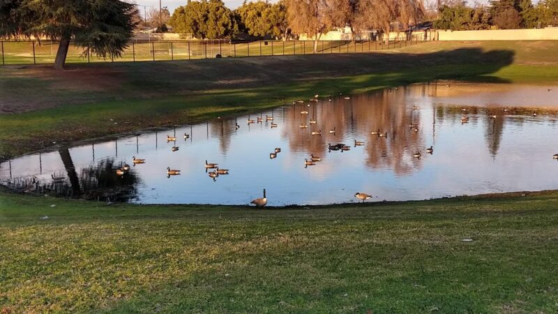 Manchester Park - Fresno, CA