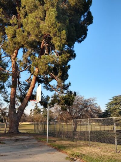 Manchester Park - Fresno, CA