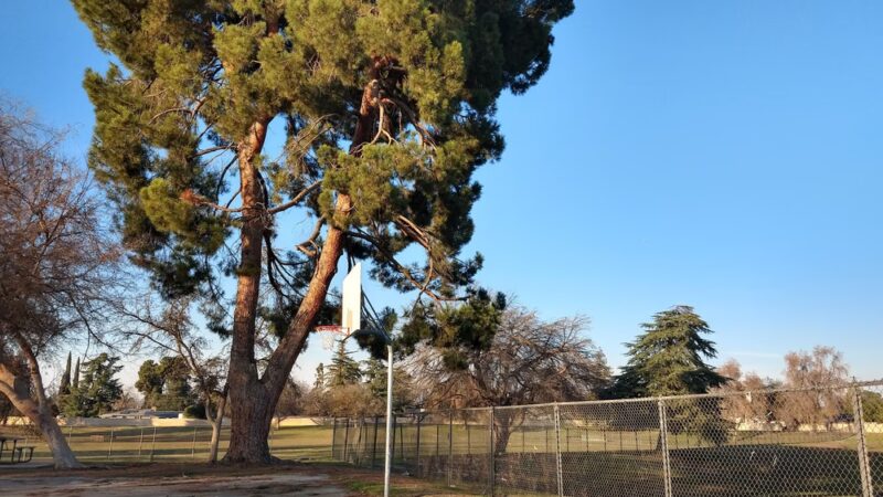 Manchester Park - Fresno, CA