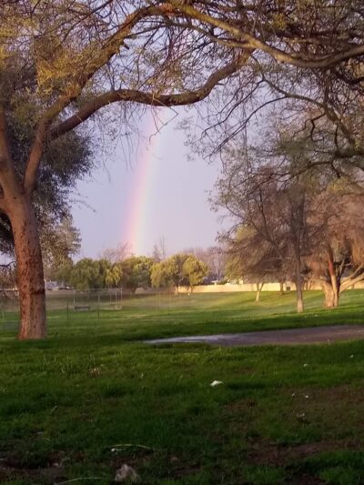 Manchester Park - Fresno, CA