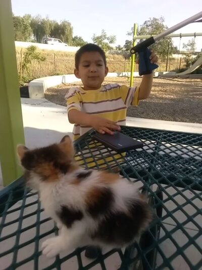 Martin Park- Webster Community - Fresno, CA