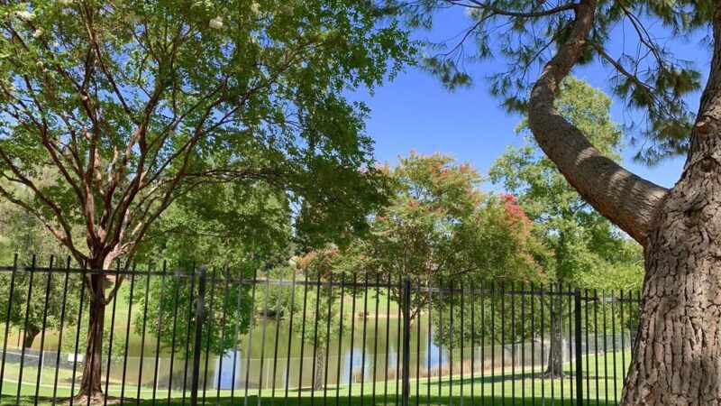 Oso de Oro Park - Fresno, CA