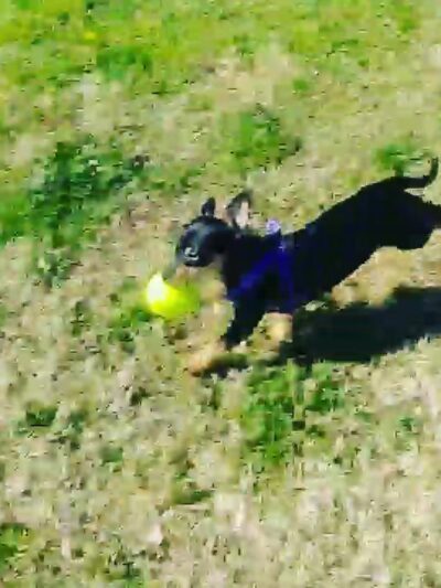 Quigley Playground - Fresno, CA