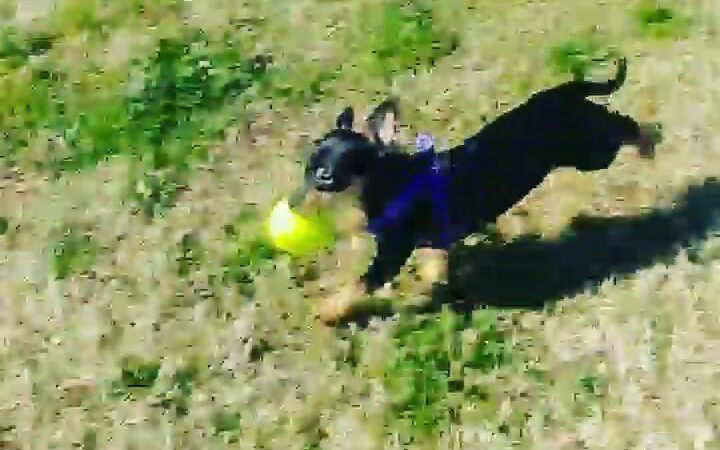 Quigley Playground - Fresno, CA