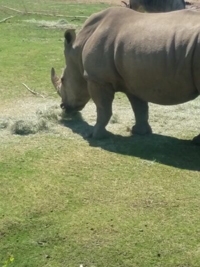 Roeding Park - Fresno, CA