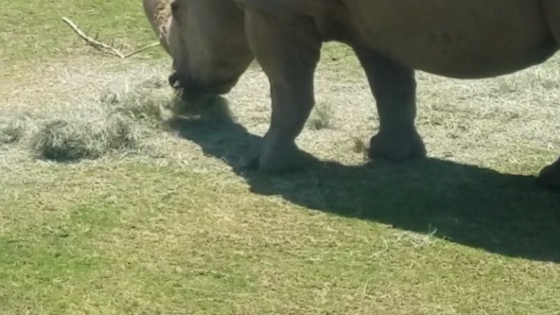 Roeding Park - Fresno, CA