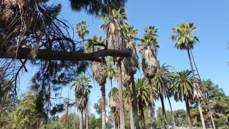Roeding Park - Fresno, CA