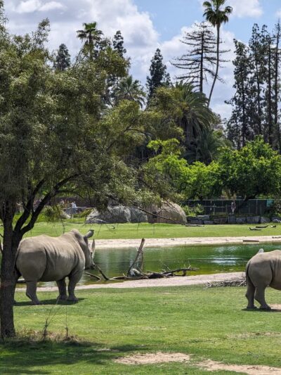 Roeding Park - Fresno, CA