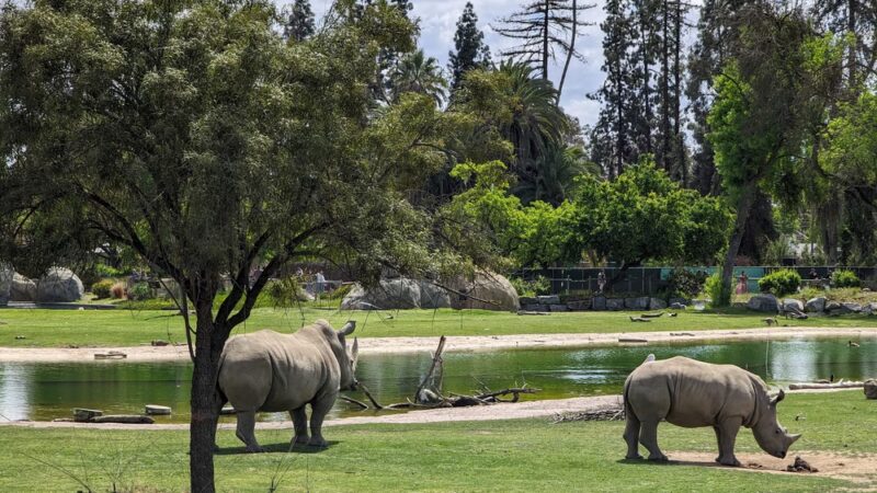 Roeding Park - Fresno, CA