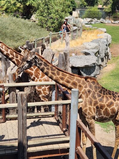 Roeding Park - Fresno, CA