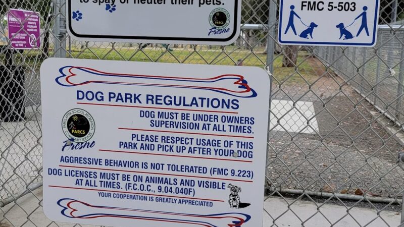 Roeding Park Dog Park - Fresno, CA