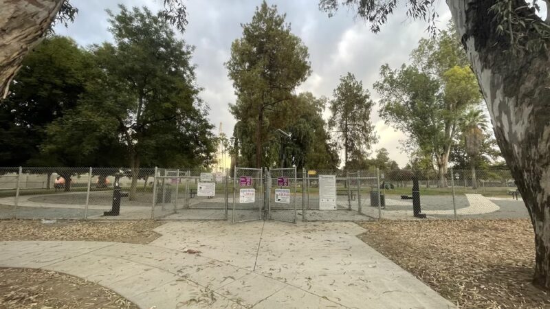 Roeding Park Dog Park - Fresno, CA
