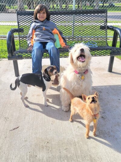Roeding Park Dog Park - Fresno, CA