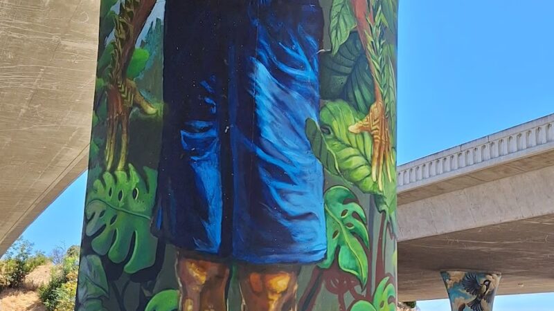 San Pablo Park - Fresno, CA